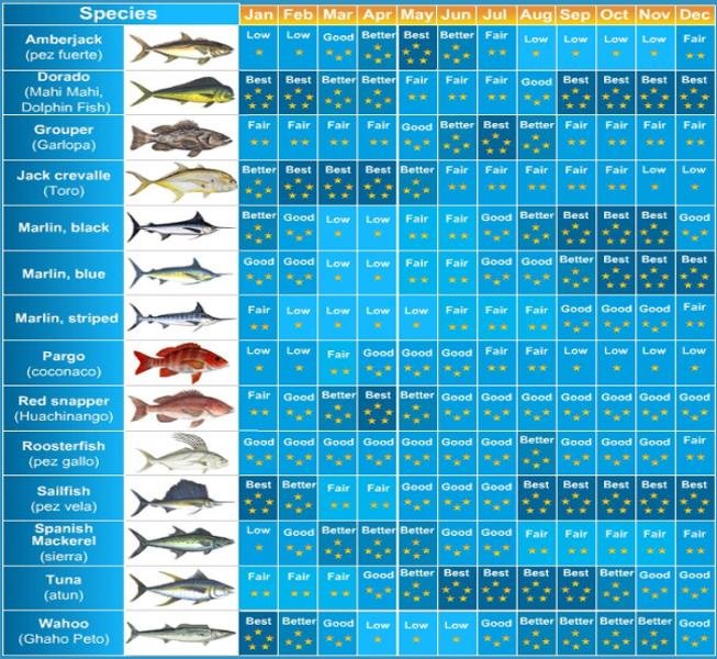 fishing in puerto vallarta chart