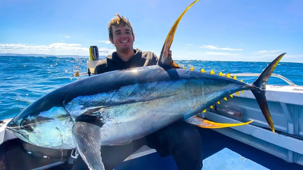 yellowfin and bluefin tuna