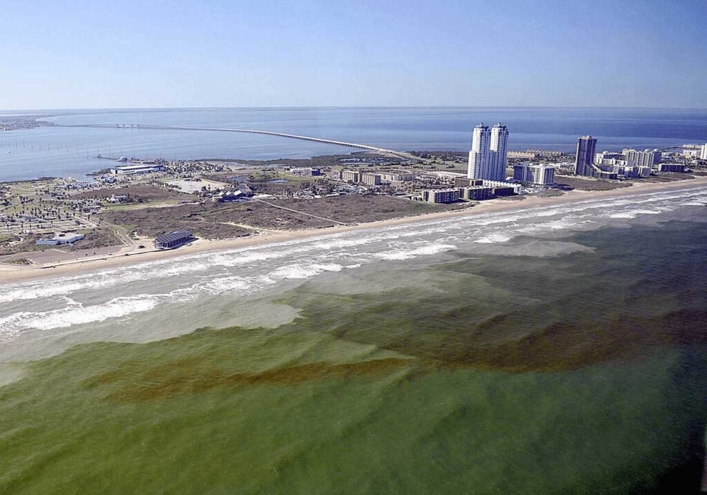 Red tide off the coast of Texas
