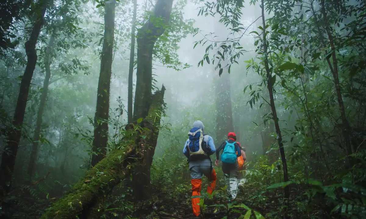 Puerto Vallarta Jungle Tour