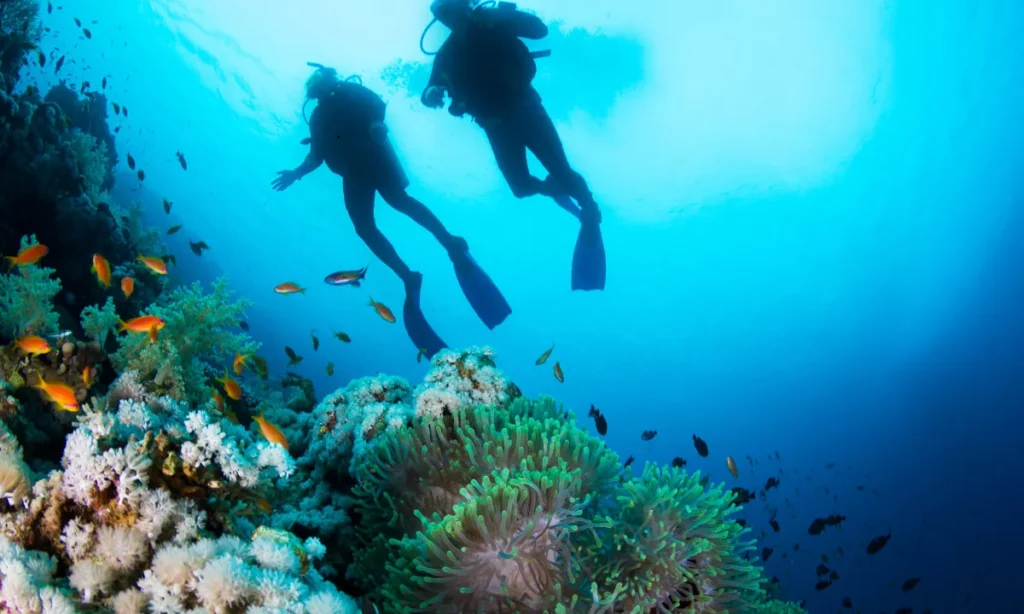 Scuba Diving in Puerto Vallarta
